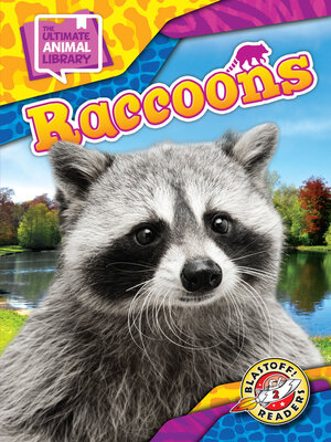cover image of Raccoons
